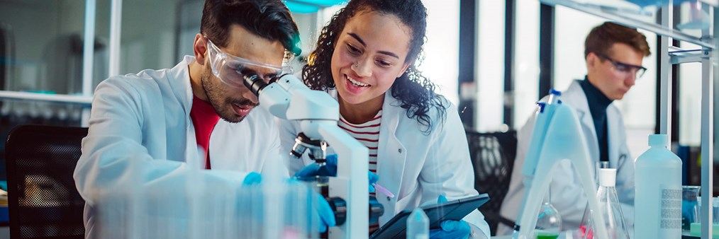 researchers night 2025